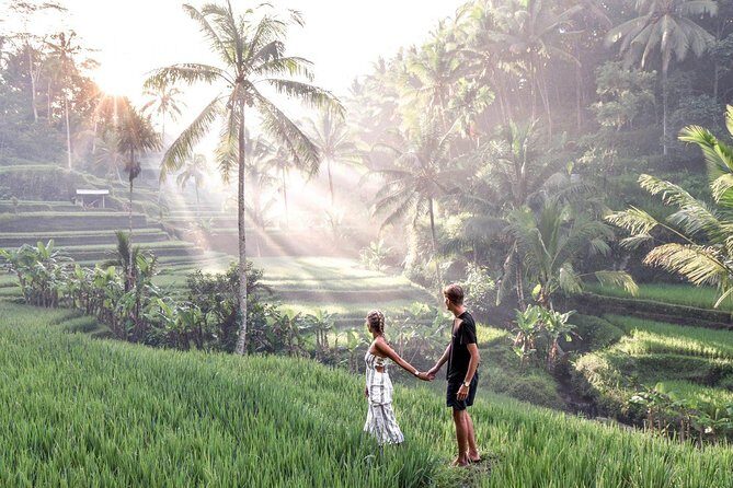 Ubud Full Day Tour Waterfall Monkey Forest Rice Terrace - Stop 2: Tegallalang Rice Terrace Views That Actually Feel Different