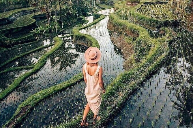 Ubud Highlights -Private Tour,Temples, Waterfalls & Rice terraces - Satria Agrowisata coffee plantation: learn Luwak and taste it too