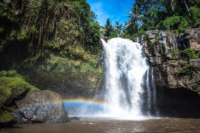 Ubud Hot Springs and Waterfall Private Guided Tour - Key Things You’ll Appreciate Most