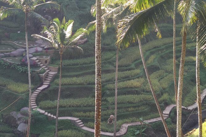 Ubud Private & Customize Day Tour - A private Ubud day that isn’t stuck in someone else’s script
