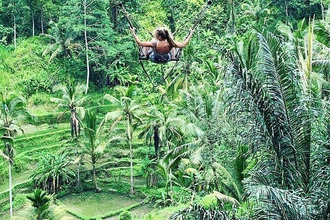 Ubud Private Tour - Pickup windows, ride comfort, and what that 8–10 hours feels like