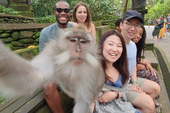 Ubud Private Tour - Kumulilir coffee plantation: swing time and a quick coffee break