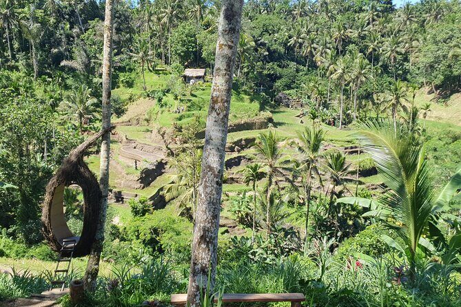 Ubud Private Tour - Tegenungan Waterfall, Air Terjun Tegenungan: fast photos, real water time