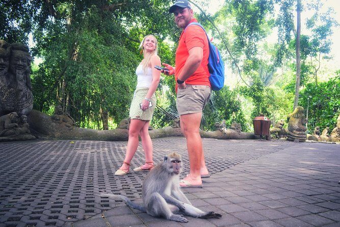 Ubud Private Tour : Choice Your Own Trip - How the Tour Works Day-of (And Why That Matters)