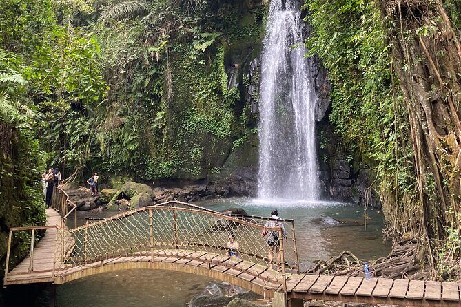 Ubud Private Tour: Monkey Forest, Rice Terrace, Temple, Waterfall - Lunch at Tebasari Resto, Bar & Lounge (take the view, then refuel)