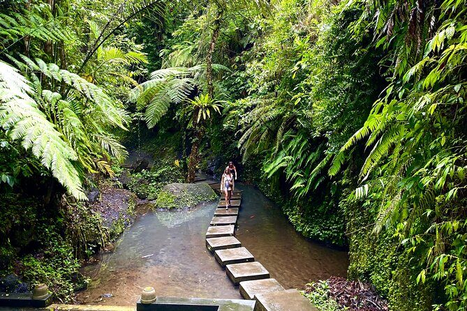 Ubud Private Tour: Monkey Forest, Rice Terrace, Temple, Waterfall - Pacing: will you feel rushed, or will it click?