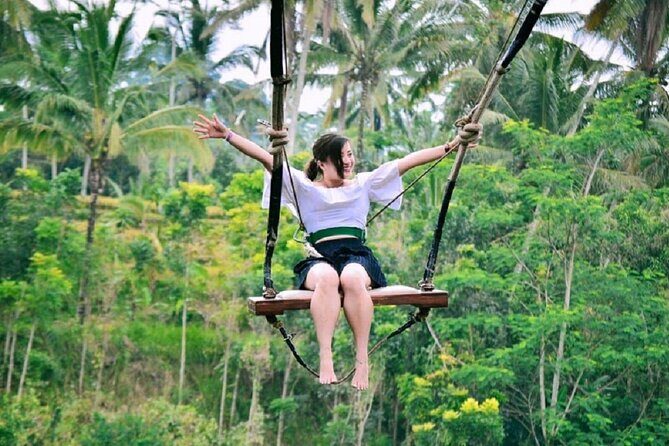 Ubud Private Tour : Ubud Temple and Authentic of Ubud - Private Ubud days work best when someone handles the driving