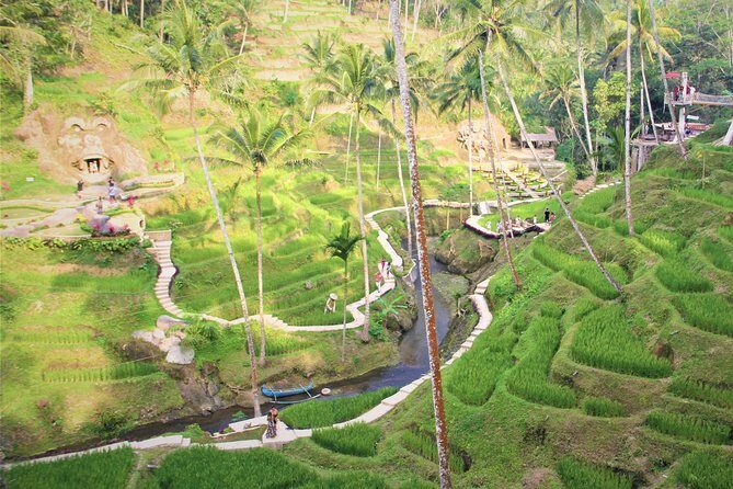Ubud Private Tour : Ubud Temple and Authentic of Ubud - Tegenungan Waterfall: classic views, but bring realistic expectations