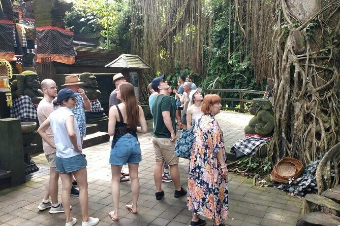 Ubud Private Tour - Pakudui Village and the rice terrace views you can slow down for