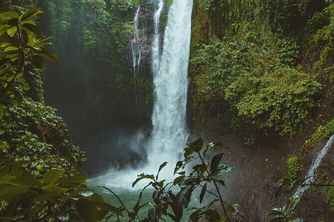 Ubud private tours - Seminyak to Ubud-area sights: how this day tour really flows