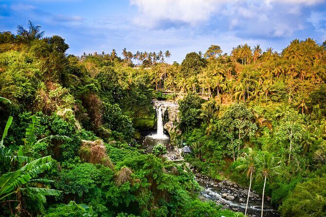 Ubud private tours - Tirta Empul Temple: holy water heritage, not just a photo stop