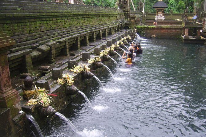 Ubud Tour - Ubud Highlight - Private Tour All inclusive - Who This Tour Fits Best
