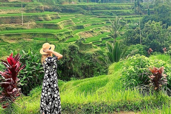 Ubud Tour - Ubud Highlight - Private Tour All inclusive - The Route at a Glance: Waterfall to Rice Terrace