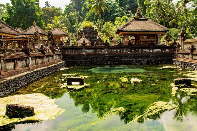 Ubud Village Sightseeing, Famous Paddy Field And Ubud Waterfall - Price and Value: Is $45 a Smart Deal for This Mix?