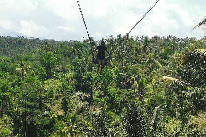 Ubud Village, Tegalalang Rice Terrace Swing, Tirta Empul Temple and Waterfafall - Why this Ubud day feels like real Bali, not a checklist