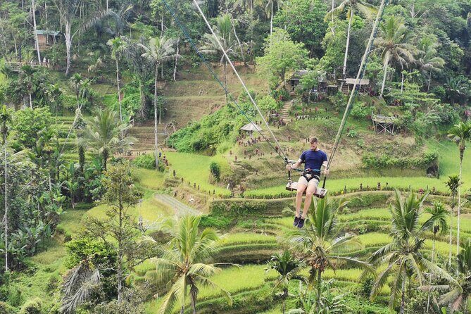 Ubud Village, Tegalalang Rice Terrace Swing, Tirta Empul Temple and Waterfafall - Tirta Empul Temple: holy spring water and how to respect it