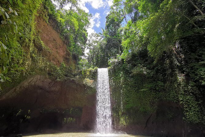 Ubud Village, Tegalalang Rice Terrace Swing, Tirta Empul Temple and Waterfafall - Starting the morning on Campuhan Ridge Walk