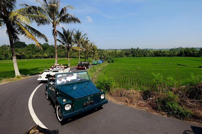 Ubud VW Safari Bali Tour - Volkswagen Classic Car Trip - Key things to know before you go