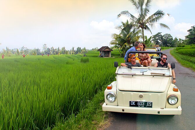 Ubud VW Safari Bali Tour - Volkswagen Classic Car Trip - Goa Gajah (Elephant Cave): history you can see in an hour