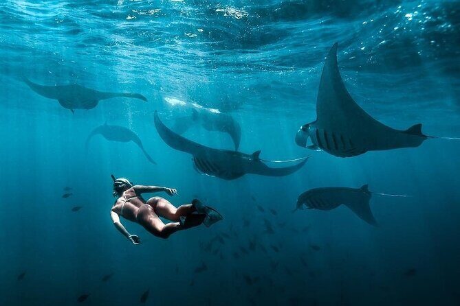 VIP Private Boat to Nusa Penida: Snorkeling with Mantas + Land Tour Adventure - Lunch on land: fueling the second half of the day