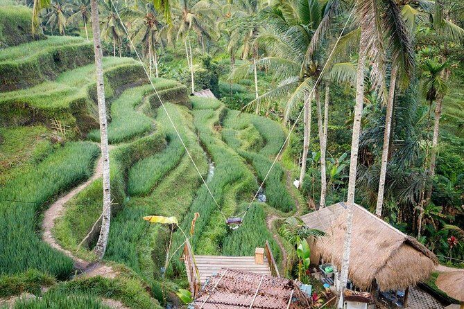 Water Rafting adventure with Jungle Swing & rice terraces - Tegalalang Rice Terrace: the calm before the splash
