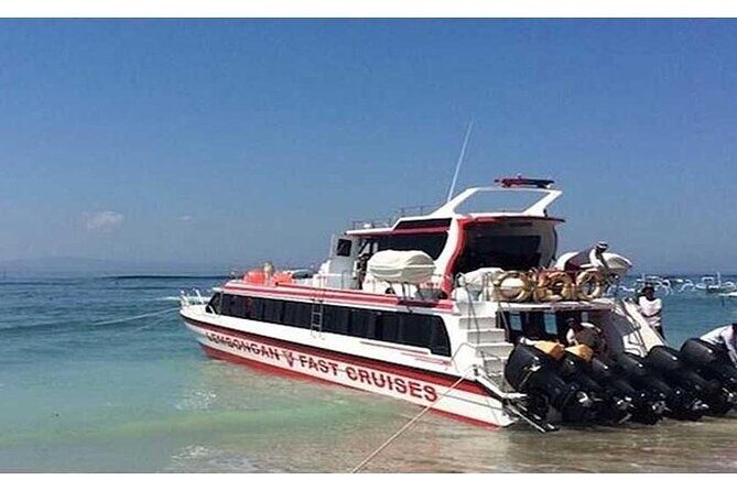 West Nusa Penida Full-Day Private Tour - Stop 1: Kelingking Beach for the Best First Impression