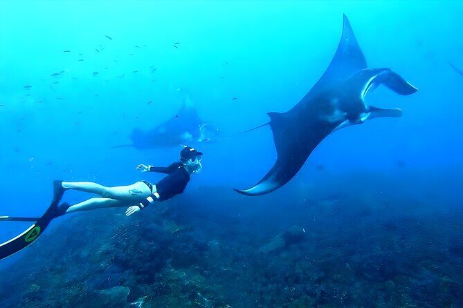West Nusa Penida Island Snorkeling Tour - From Bali Island - Key things to know before you go