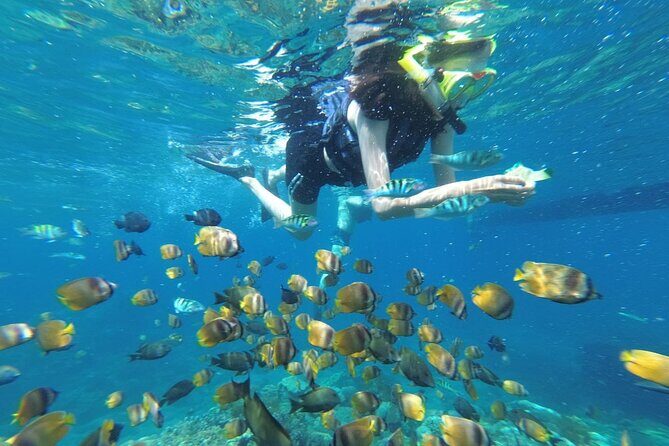 West Nusa Penida With Snorkeling Private Guided Tour - West Nusa Penida’s Best Mix: Water Time Plus Those Photo Stops