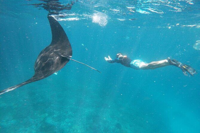 West Nusa Penida With Snorkeling Private Guided Tour - From Seminyak to the Wharf: Early Pickup and Fast-Boat Momentum