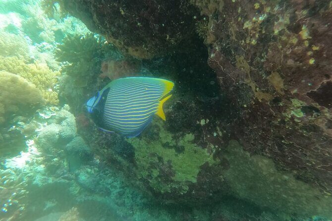 West Nusa Penida With Snorkeling Private Guided Tour - Angel’s Billabong and Broken Beach: Two Coastal Scenes, Different Vibes