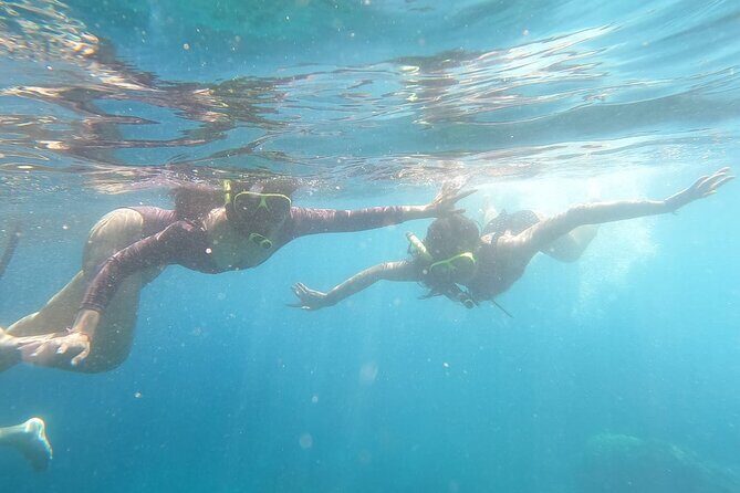 West Nusa Penida With Snorkeling Private Guided Tour - Lunch, Young Coconut, and the Reality of a Busy Penida Route