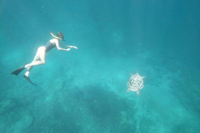 West Nusa Penida With Snorkeling Private Guided Tour - Kelingking Beach Viewpoint with a Guide Who Helps You Photograph